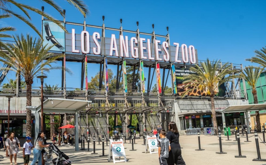 Los Angeles Zoo: A Wildlife Wonderland in the Heart of the City