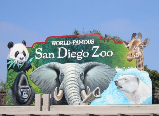 San Diego Zoo: A World-Class Haven for Wildlife Conservation